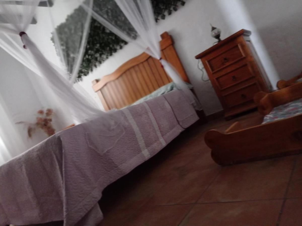 Mascotas 2 Appartement Benaocaz Buitenkant foto